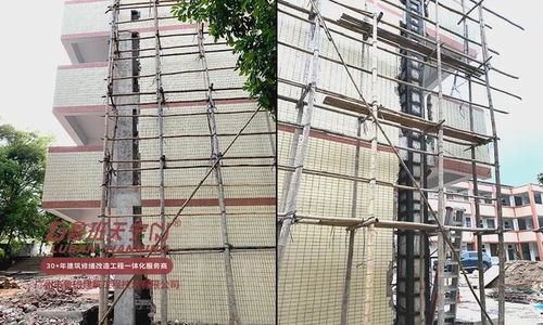 学校建筑物结构补强与抗震加固 2024工程特辑